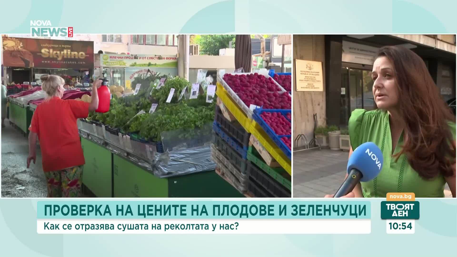 Производители предупреждават за поскъпване на плодовете и зеленчуците