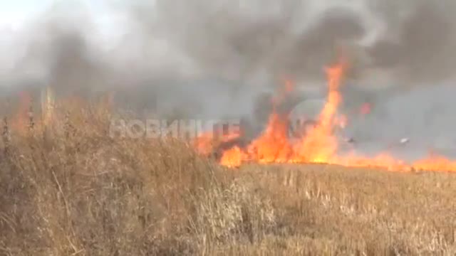 500 декара пламнаха недалеч от Ямбол