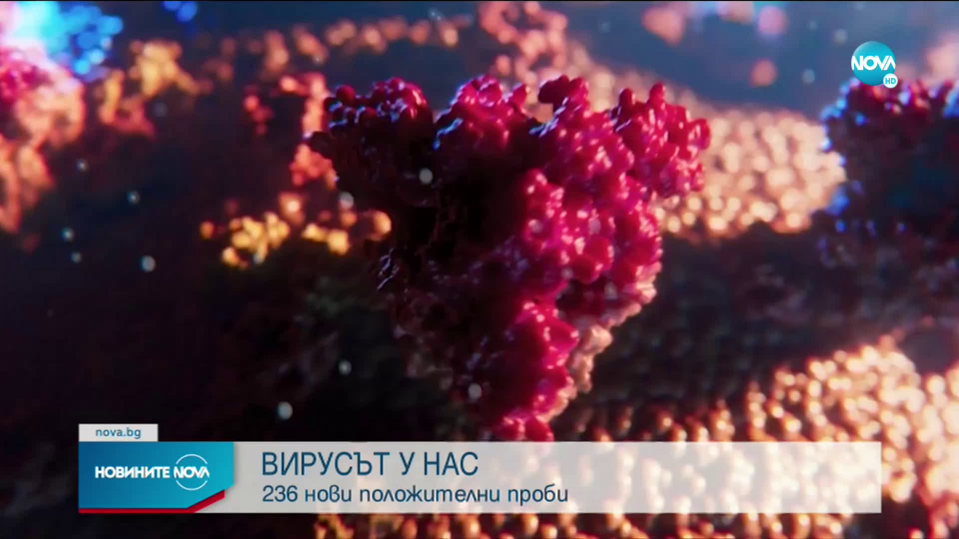 Висок брой излекувани от COVID-19 за ден