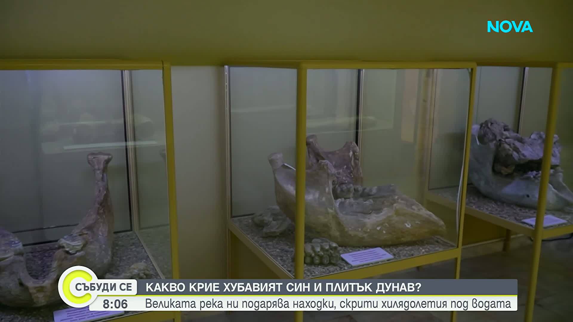 Хилядолетия под водата: Какви находки продължава да ни разкрива река Дунав