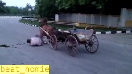 Ето това е да си с коня и да дръпнеш ръчната!