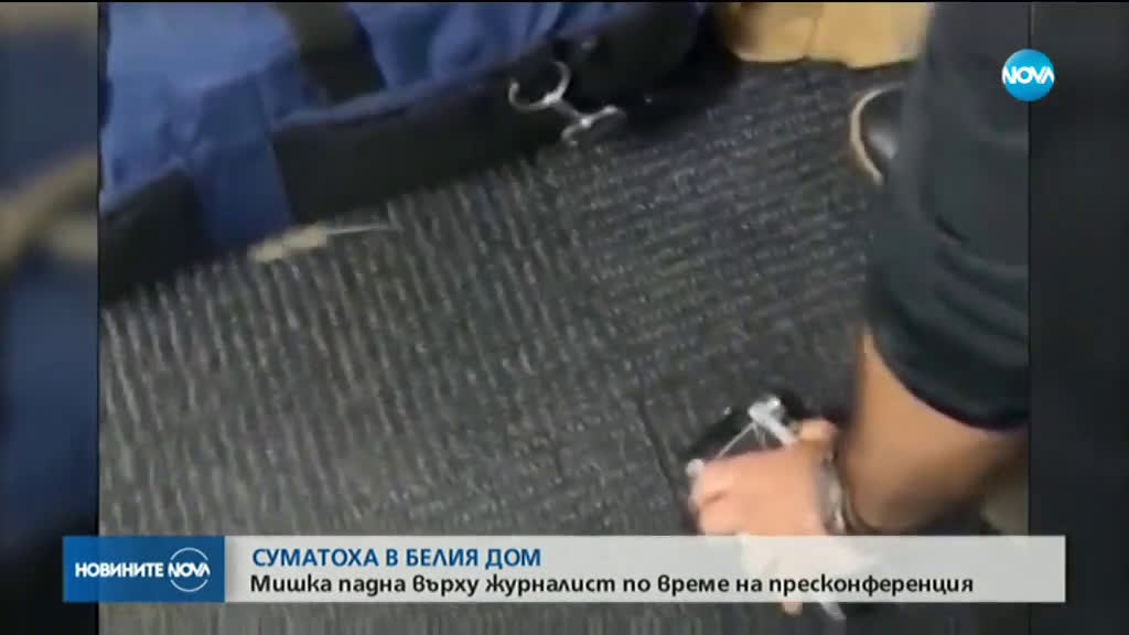 Новините на NOVA (02.10.2019 - следобедна емисия)