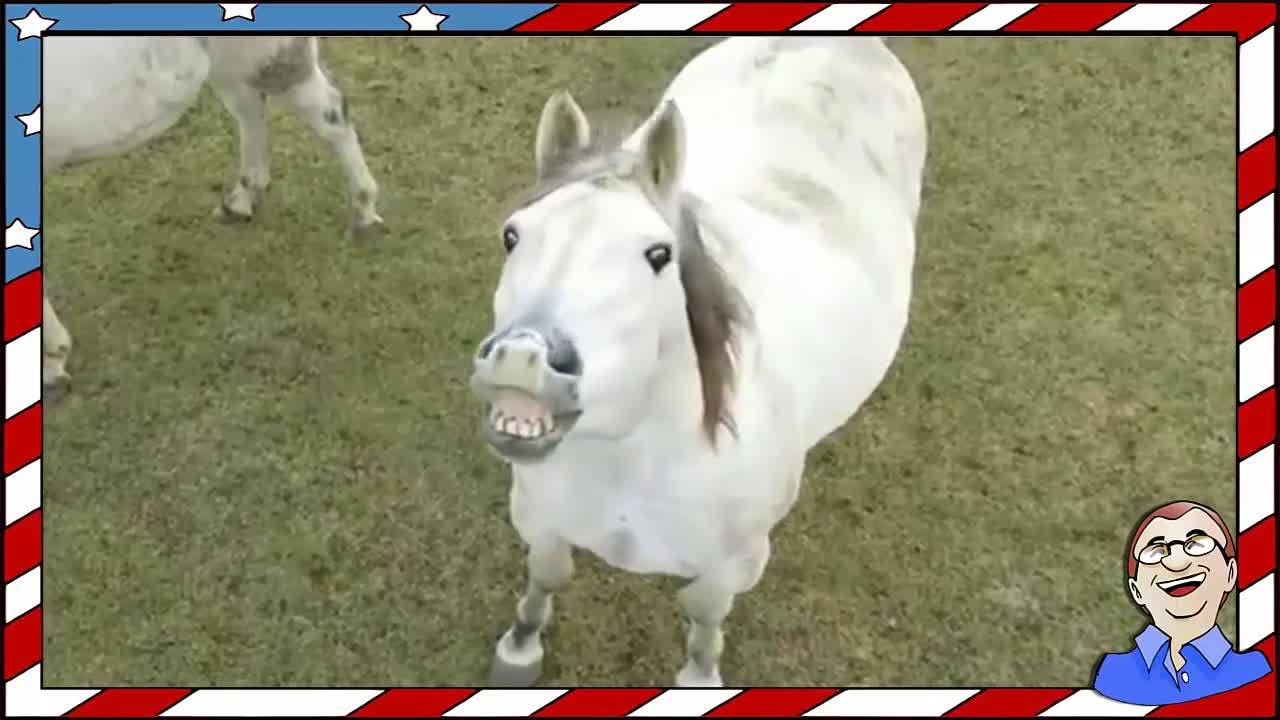 Да се изтърсиш от коня ;д - Много смях