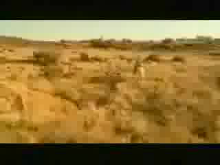 Яко Маце Има Нужда От Помощ