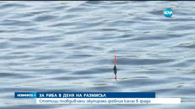 Стотици пловдивчани окупираха гребния канал в града