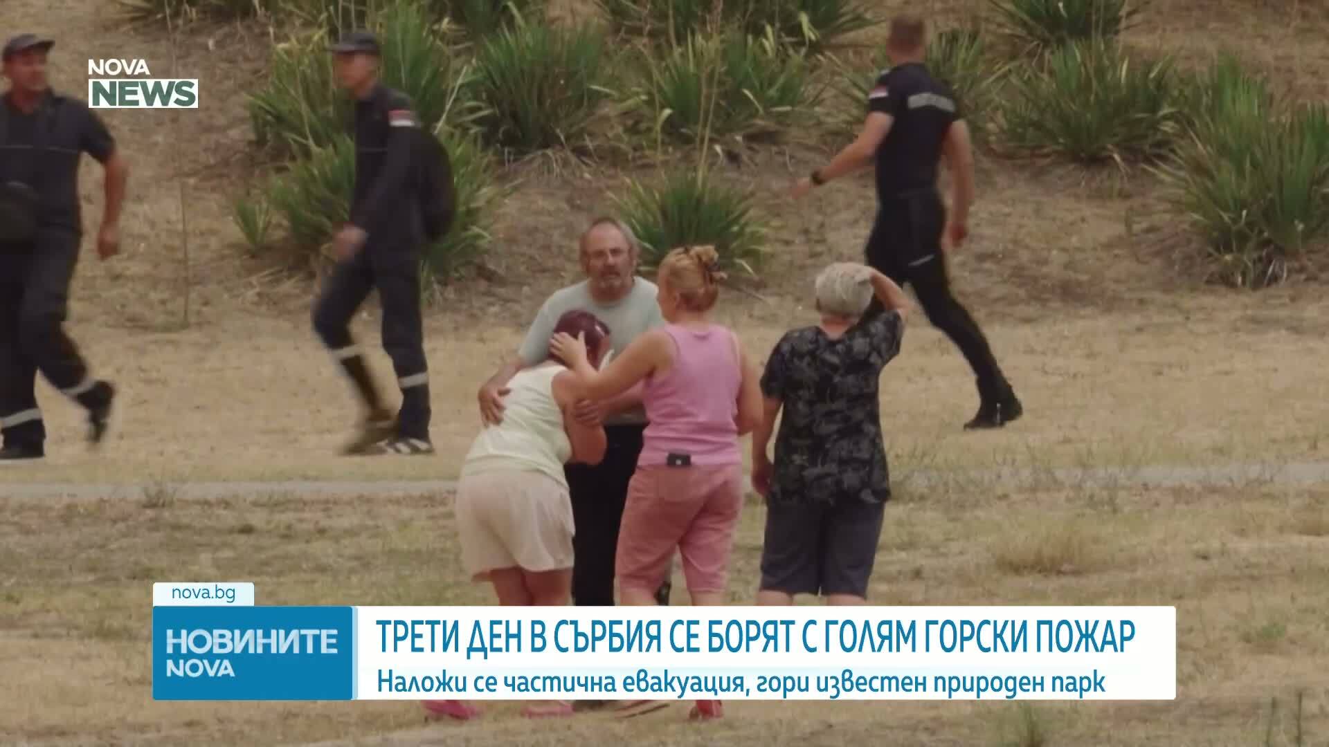 Трети ден в Сърбия се борят с голям горски пожар в защитена зона около Белград