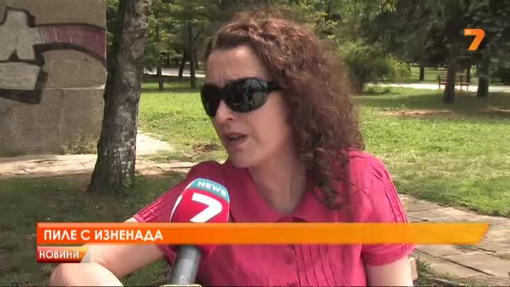 Пиле с червеи откри семейство във В. Търново