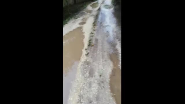 "Моята новина": Ул. 10 в село Българка