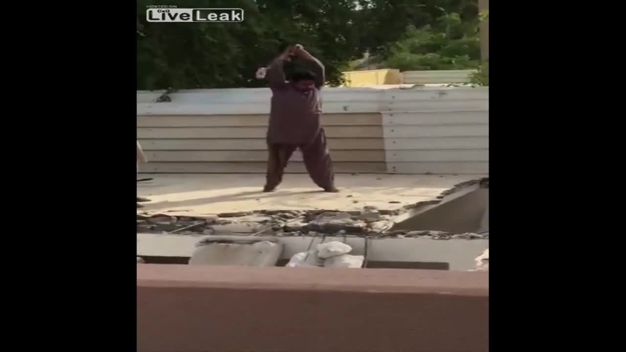 За глупостта няма граница