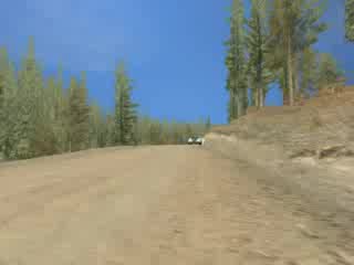 Fiat Punto - Richard Burns Rally