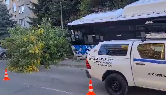 УЖАС В СОФИЯ! Автобус на градския транспорт се заби в дърво, има ранени