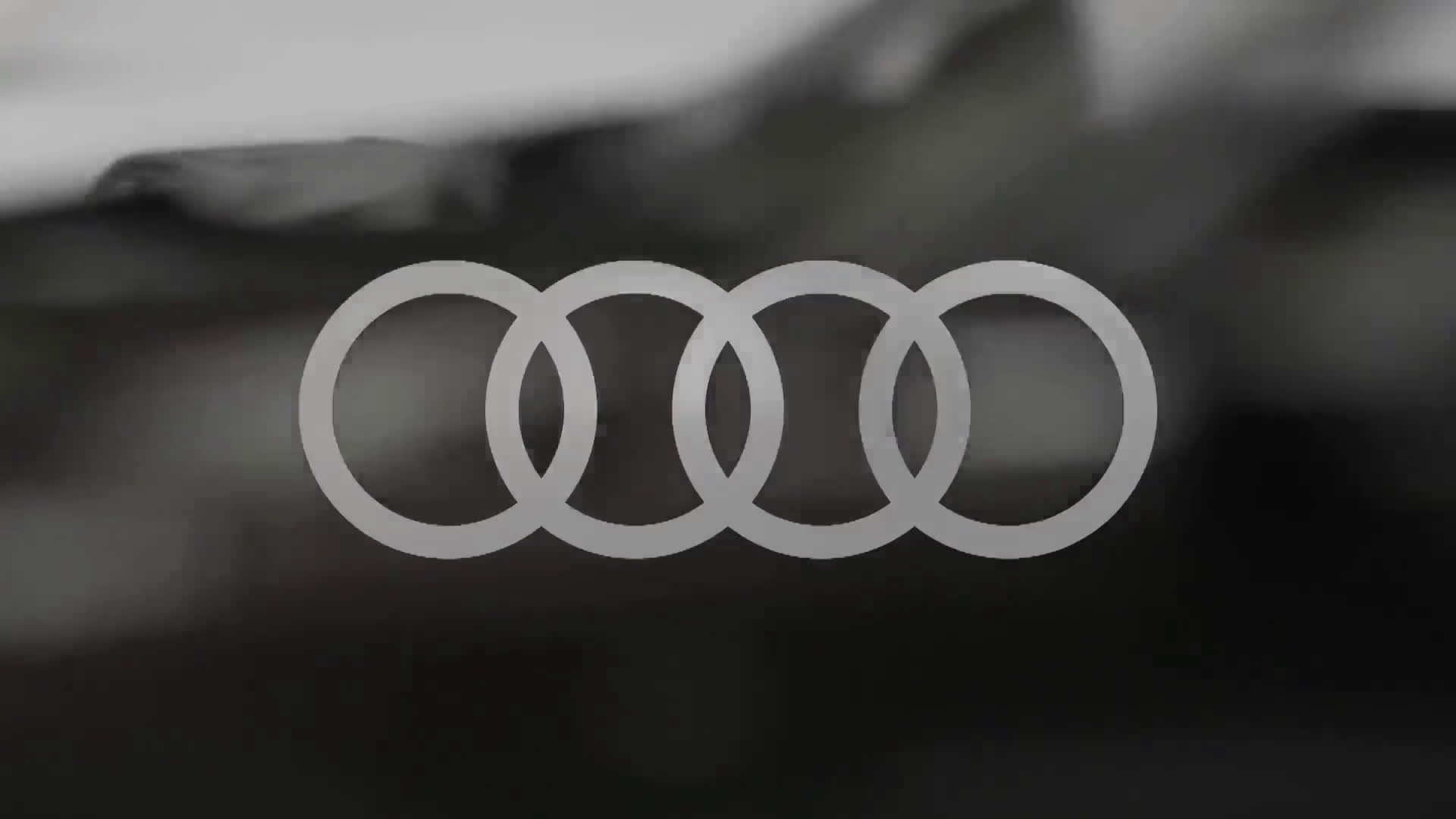 AUDI PROGRAM 30 sec_LQ_1