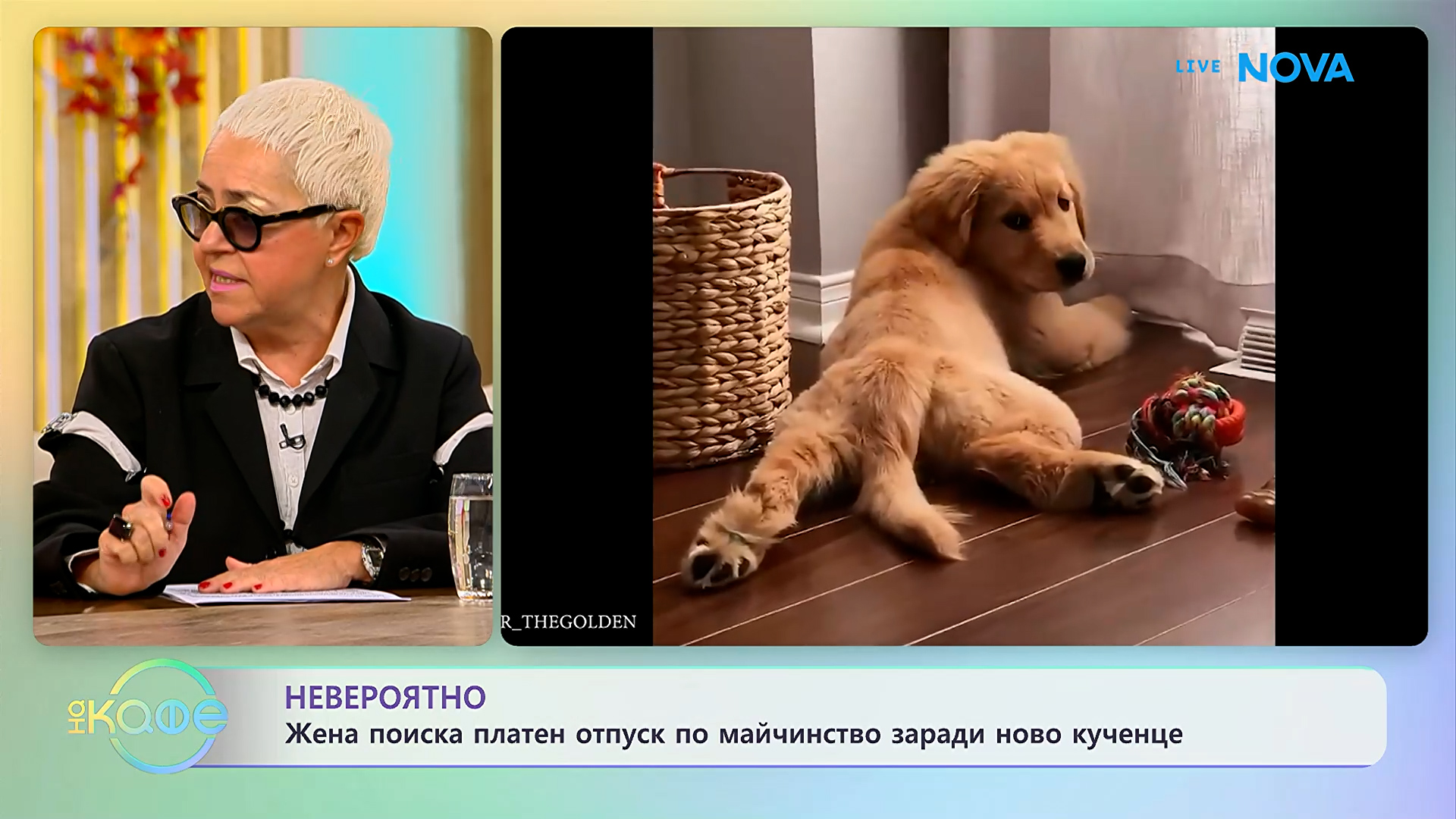 Жена поиска платен отпуск по майчинство заради ново кученце | На кафе | 29 окт. 2026