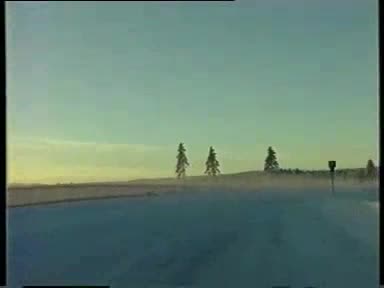 Skoda Octavia - Тест При Всякакви Условия