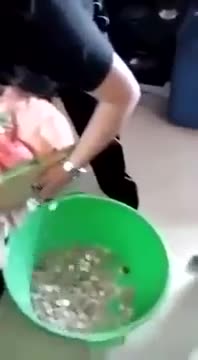 Рано или късно идва и момента на разбиването на касичката на децата!