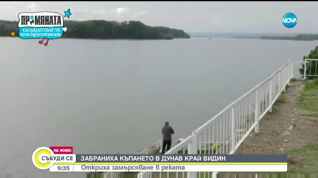 Забраниха къпането в Дунав край Видин