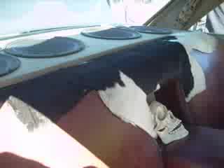 Speed Fest 2007 Part 5