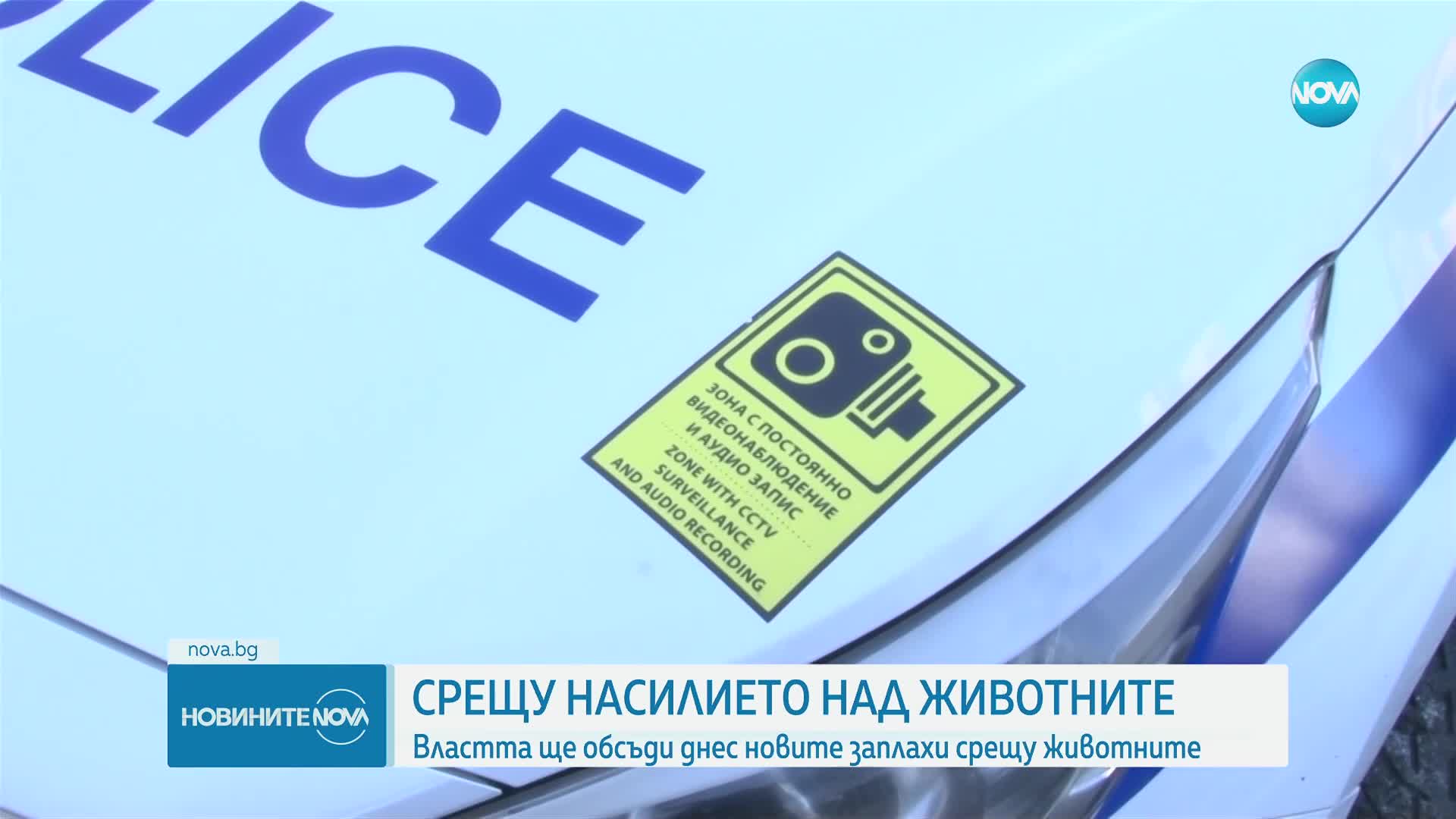 Премиерът ще открие кръгла маса срещу насилието над животни