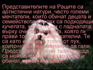 Какво Куче Си Според Зодията