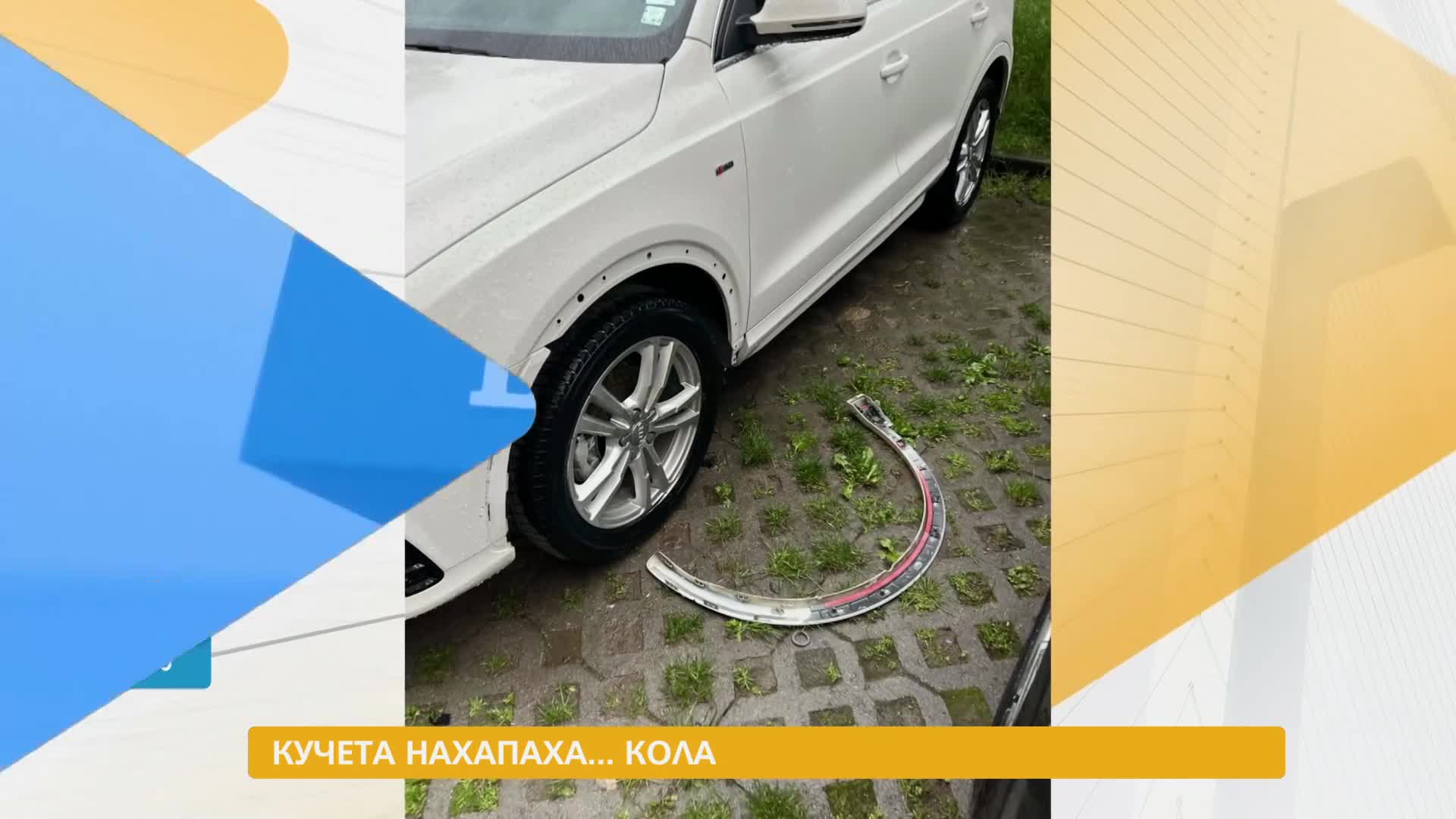 В „Здравей, България” на 17 май очаквайте