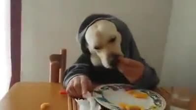 Не си ти, когато си гладен