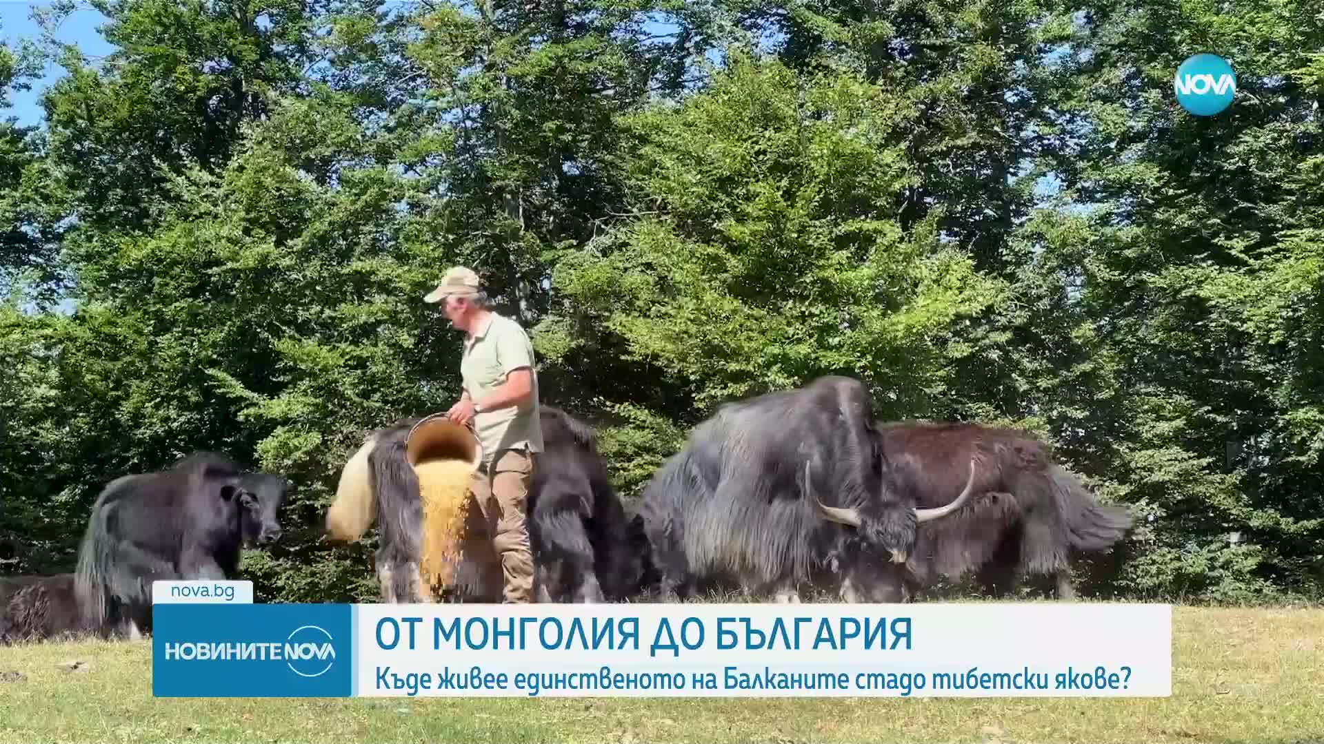 Новините на NOVA (22.07.2023 - централна емисия)