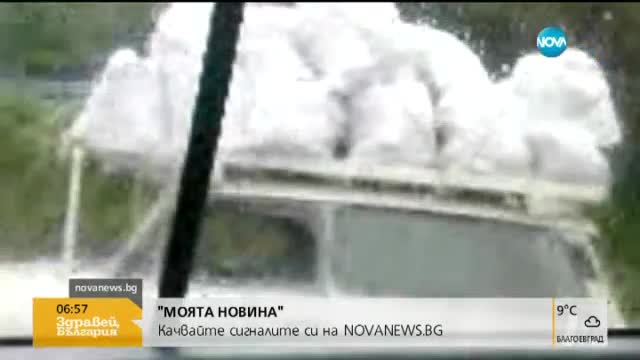 "Моята новина": Безобразна сеч на дървета