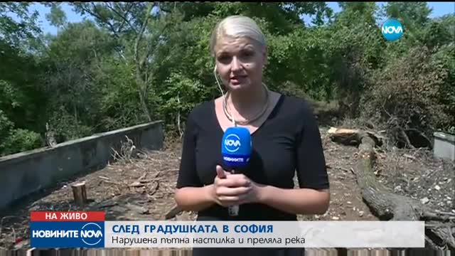 Новините на NOVA (08.08.2017 - обедна емисия)