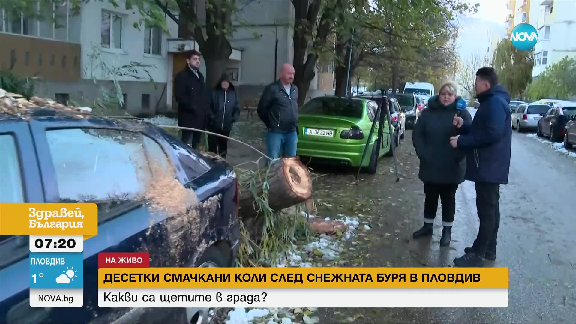 Часове след като дърво падна върху кола в Пловдив, щетите все още не са описани