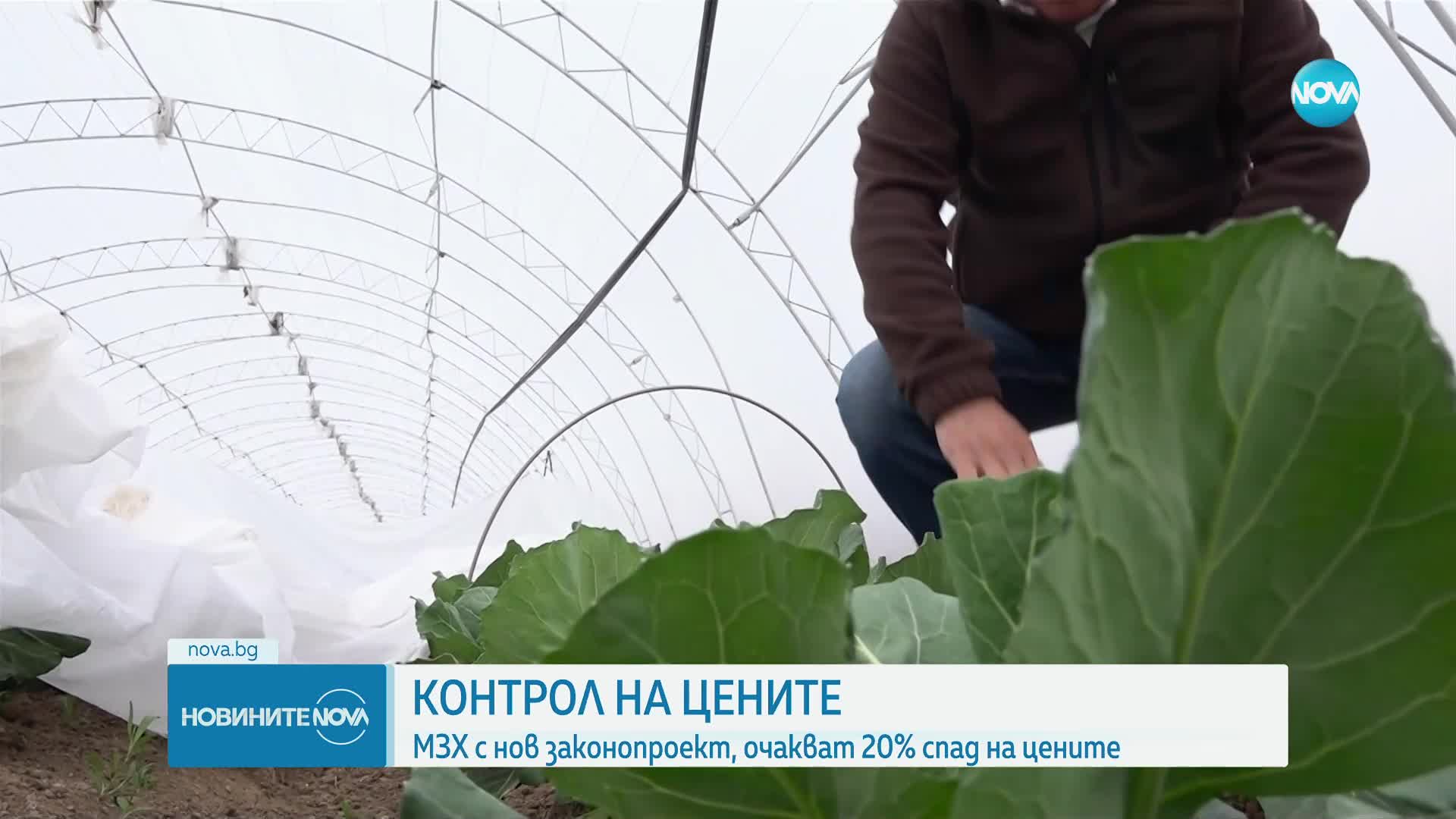 След мерките за надценката: Властта предвижда 20% спад в цените на храните