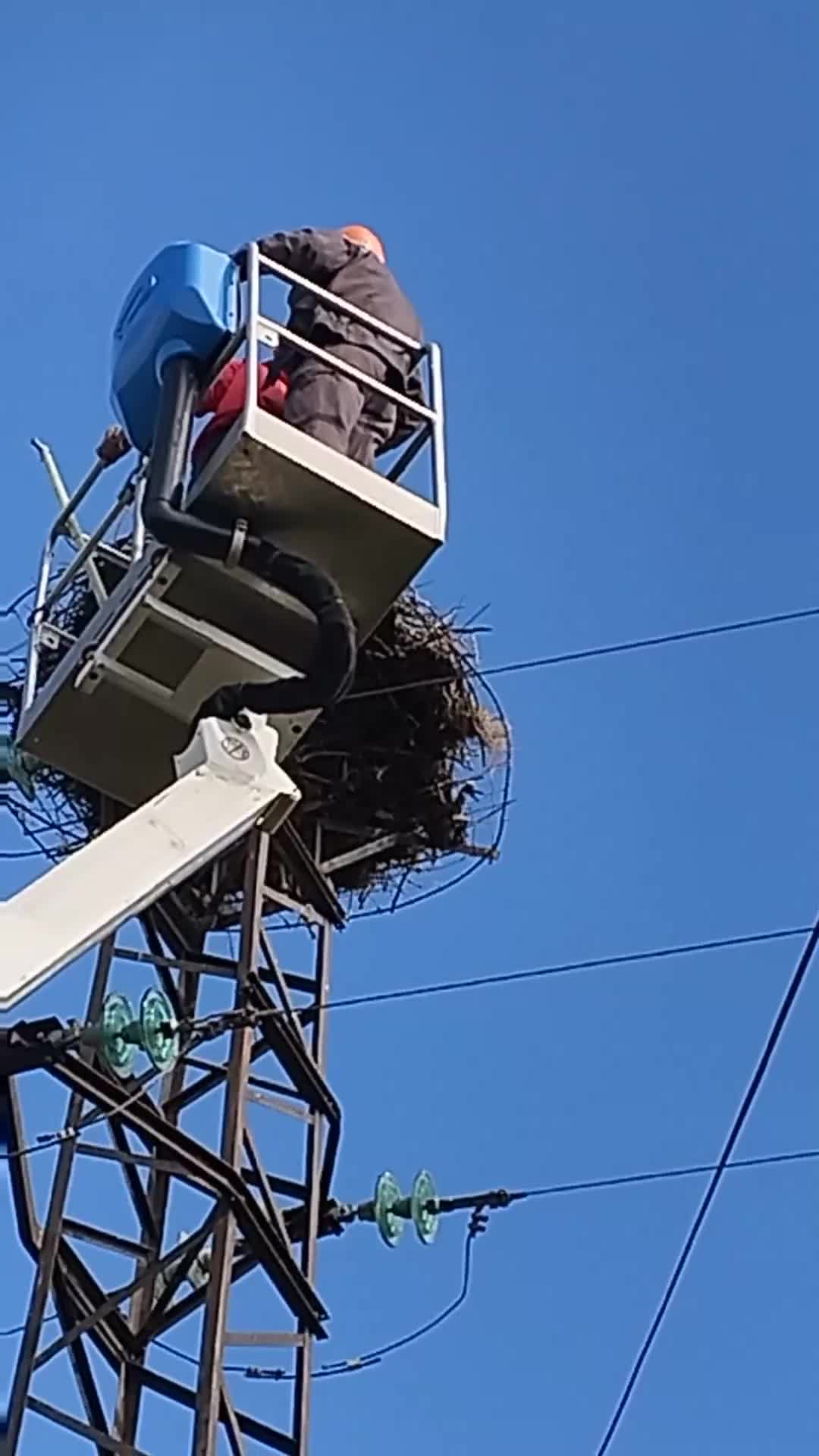 Спасяване на щъркелче