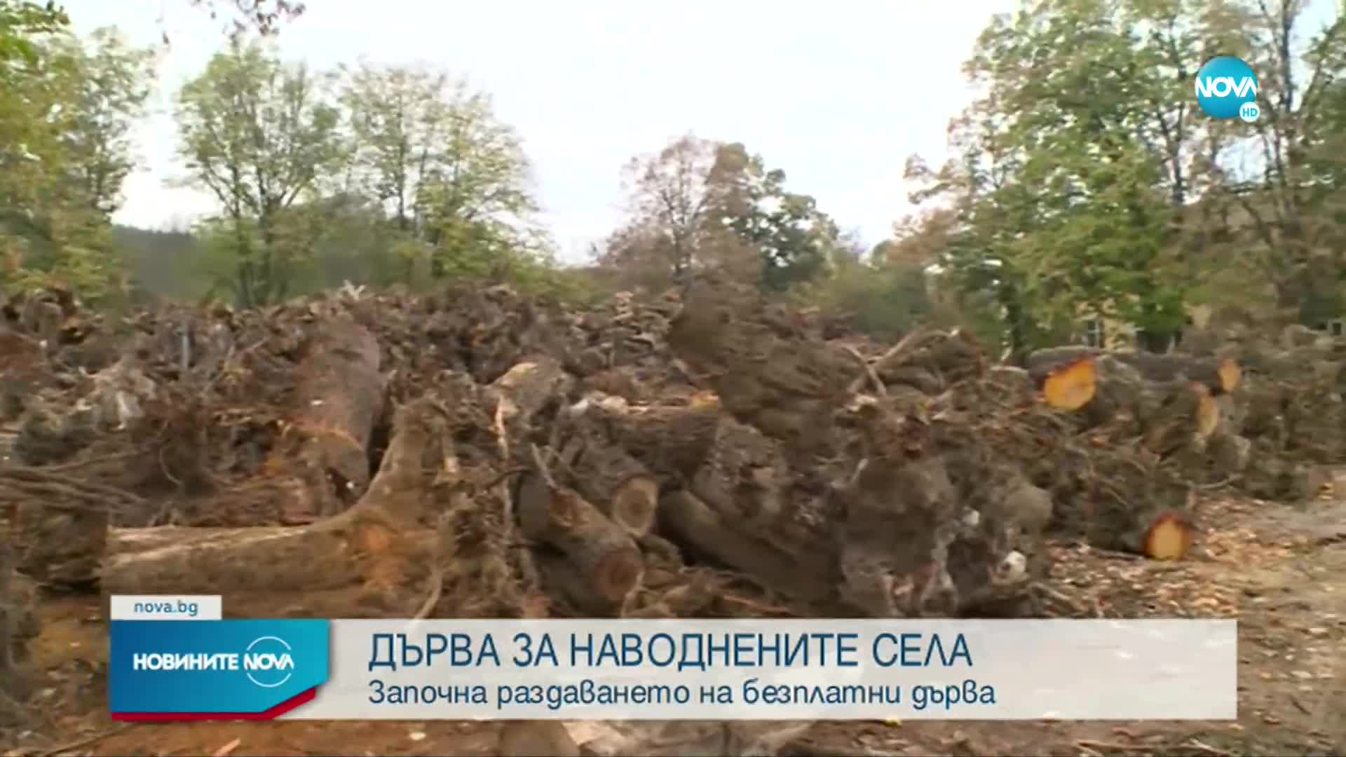 След наводненията: Започна раздаването на безплатни дърва в Карловско