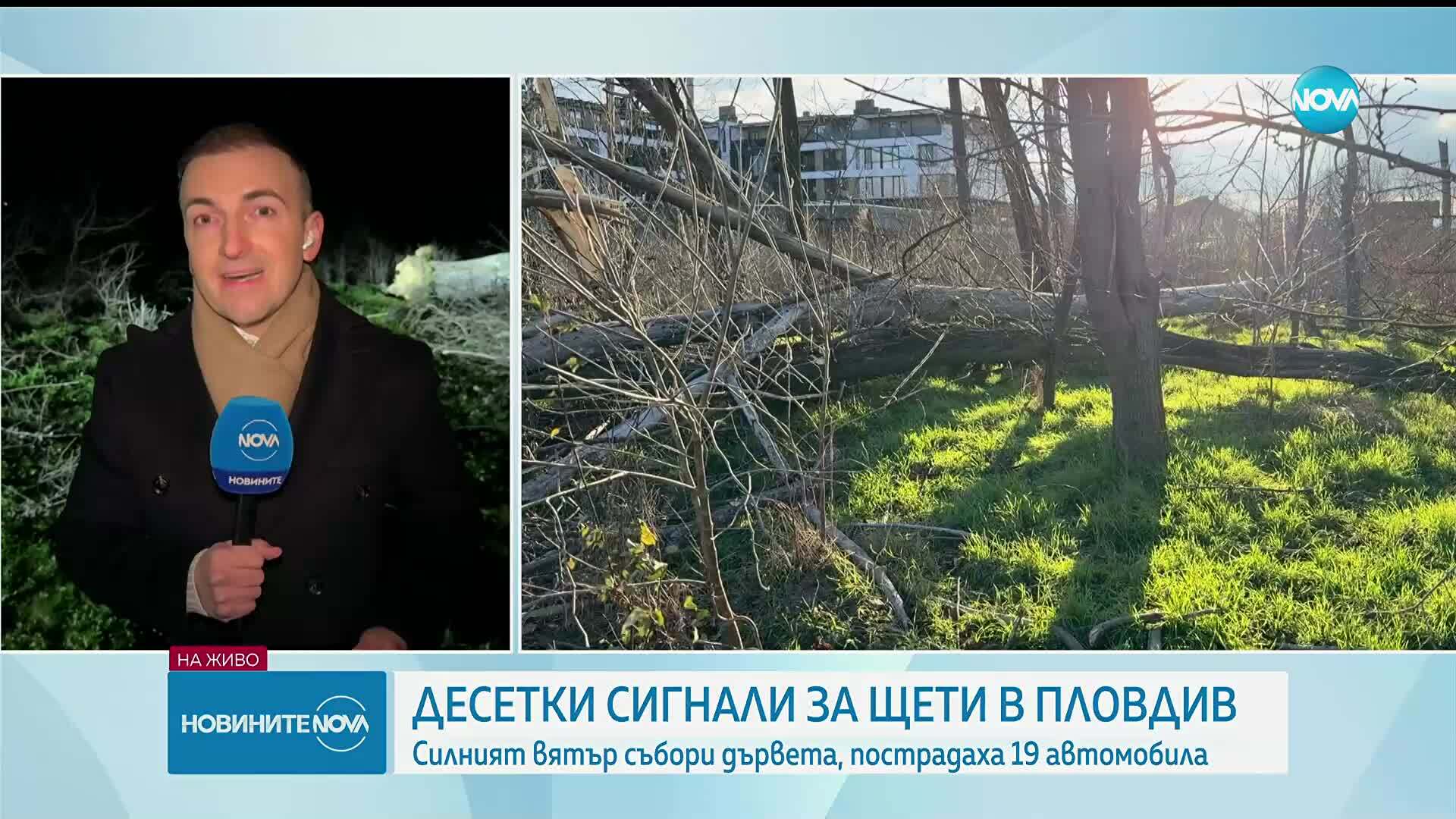 Бурният вятър в Пловдив: Над 90 сигнала за сериозни материални щети и потрошени автомобили