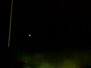 Zarq v dupnica za Novata godina 2009