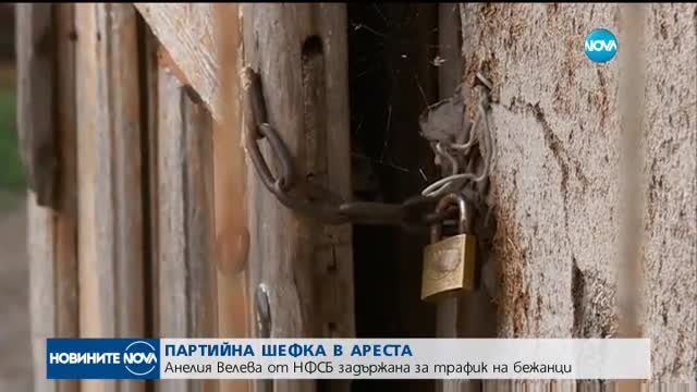 Новините на NOVA (25.07.2017 - лятна късна)