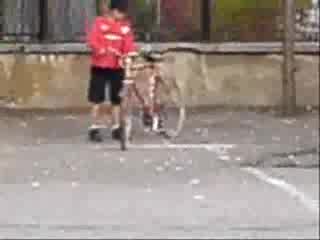 Ей Големи Шофьори Сме :)