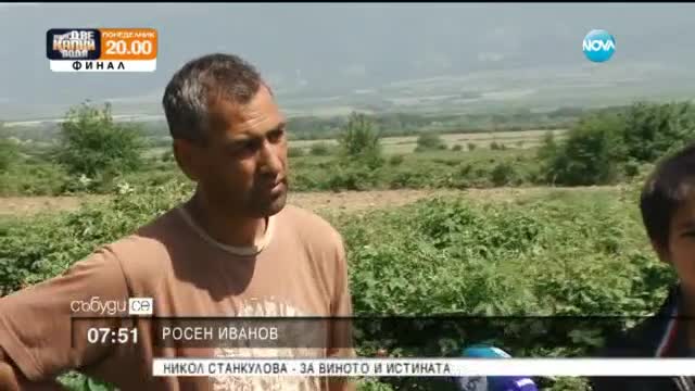 Розоберът е пред провал?