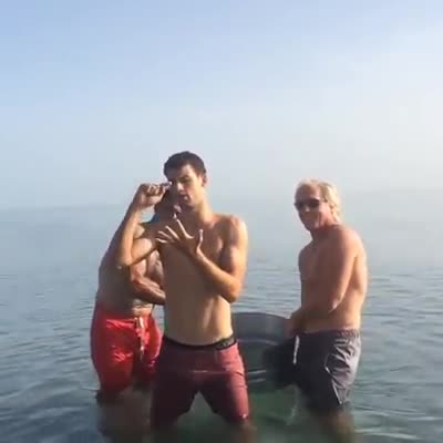 И Григор Димитров се заля със студена вода. Ice Bucket Challenge