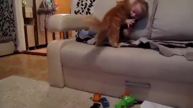 Котка Vs Бебе