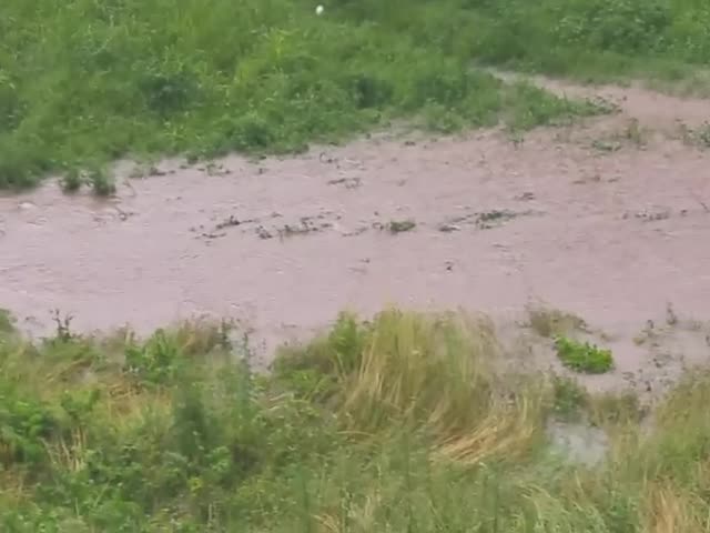 Дъжд във Велико Търново (ВИДЕО)