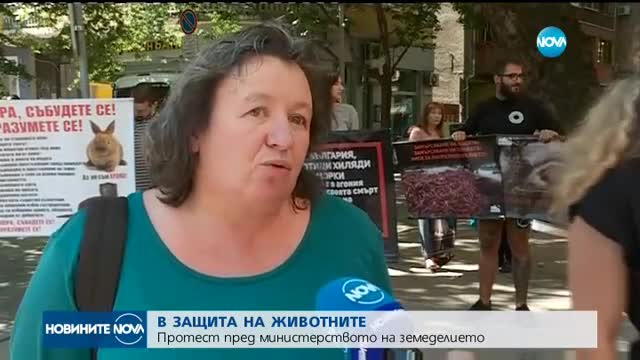 Природозащитници на протест срещу отглеждането на животни за кожи