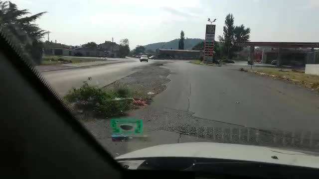 Дърво от асфалта