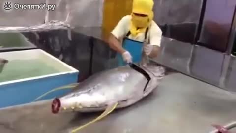 Разфасовка на огромна риба със замах!