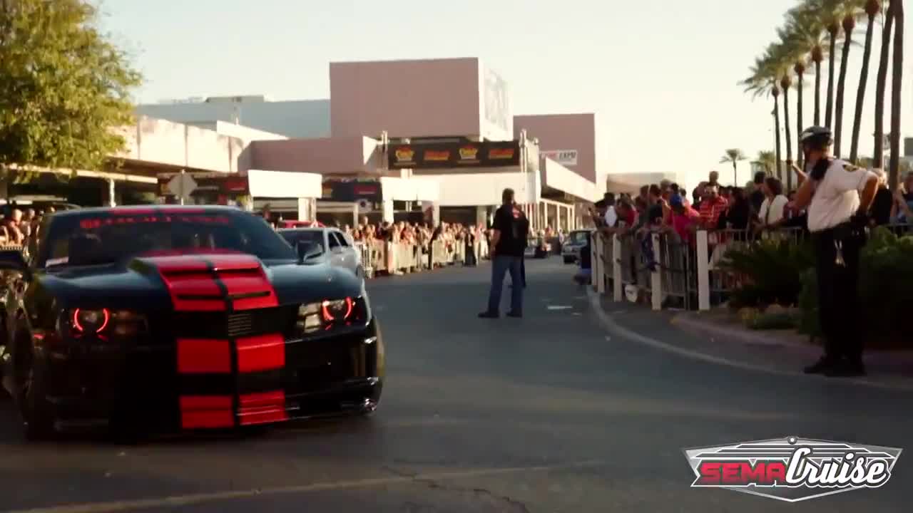 Зверове под капака - Sema Cruise