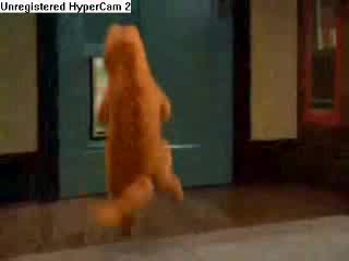 Garfield - I Feel Good