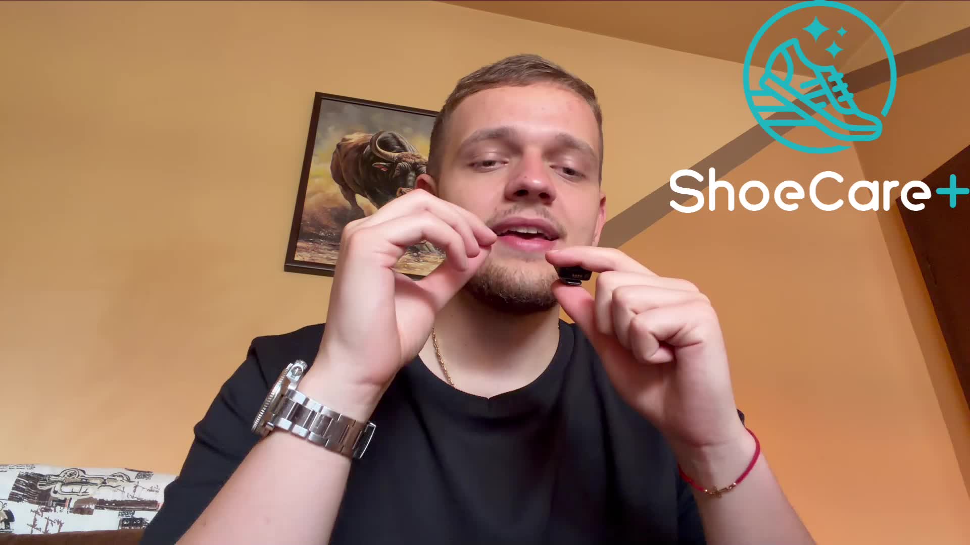 ShoeCare+