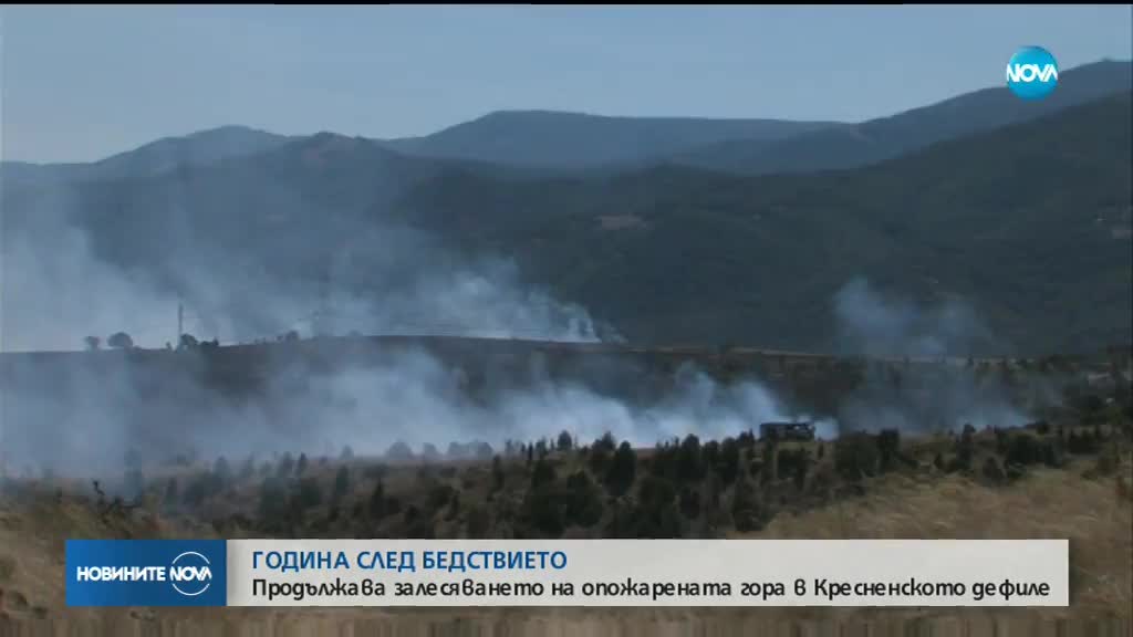 Година след големия пожар край Кресна продължава залесяването на района