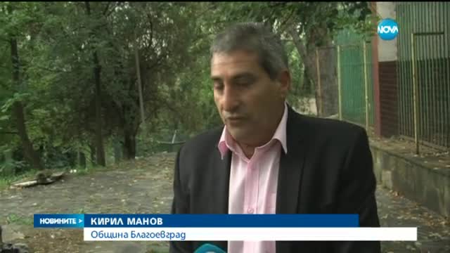 Правят с метър по-висока оградата на избягалата вълчица