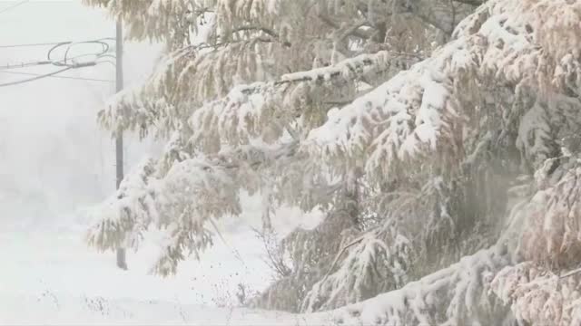 Обилен снеговалеж и силни ветрове блокираха Ню Йорк