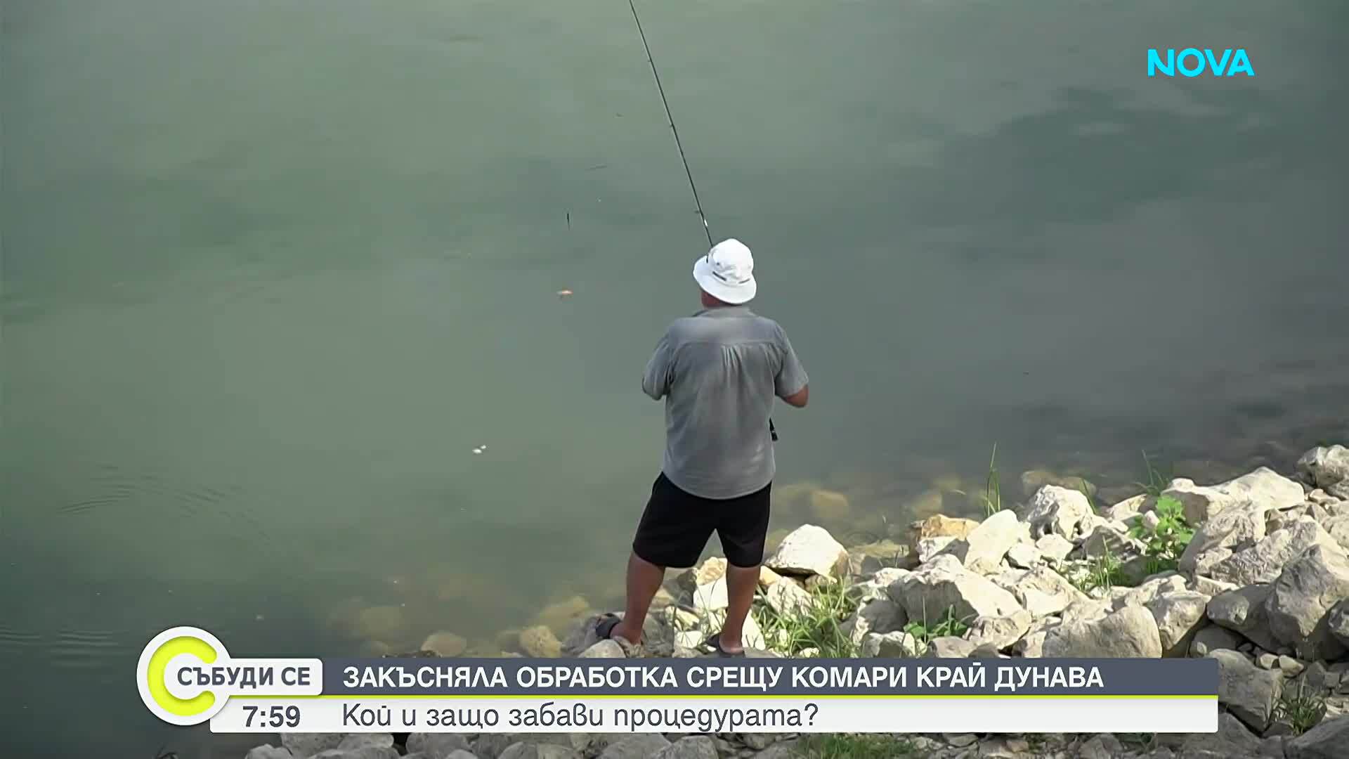 След репортаж на NOVA: Започва пръскането срещу комари по поречието на Дунав